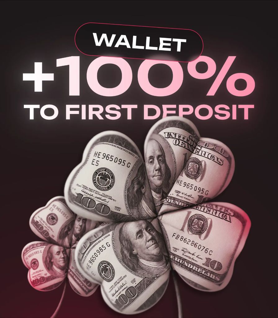 Wallet +100% first deposit bonus at Sneket Casino